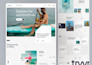 design, redesign, revamp or clone wordpress website using elementor pro